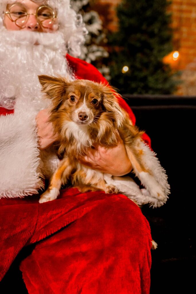 Santa holding a dog